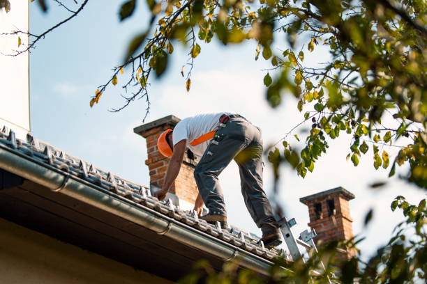 Best Roof Moss and Algae Removal  in Greenbriar, VA